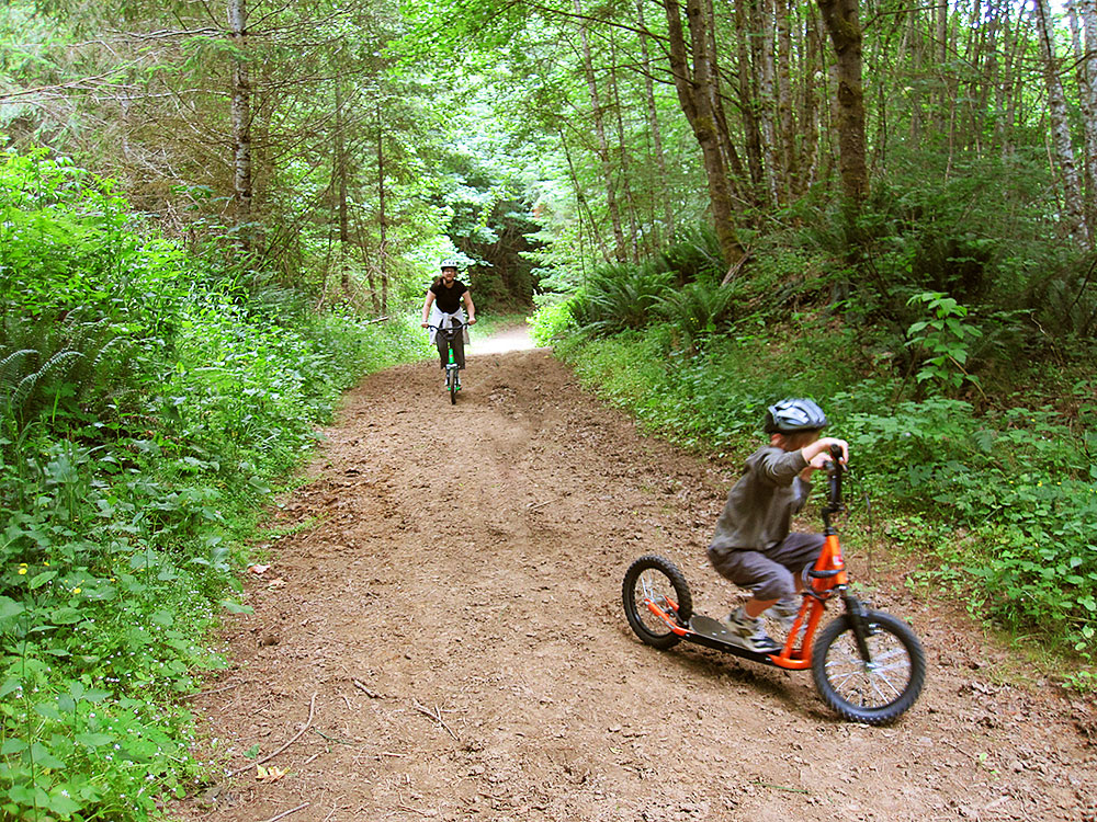 Descente en trotinette tout terrain en forêt